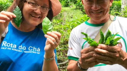 portfolio-sitio-yamamaru