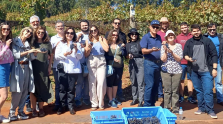 img-vivicola-biagi-957x899