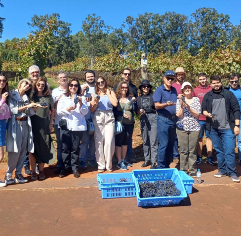 img-vivicola-biagi-957x899